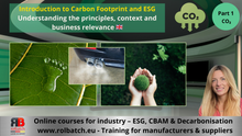 Cargar imagen en el visor de la galería, Online Course: Introduction to Carbon Footprint and ESG for SMEs – (DECAR-3300)