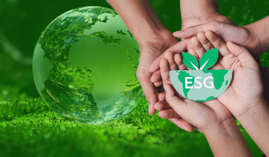 Müssen Sie Ihre CO₂-Emissionen kennen, wenn Ihr Unternehmen weniger als 250 Mitarbeiter hat?